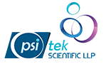 web design company